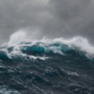 Meet your Posher, Kaley